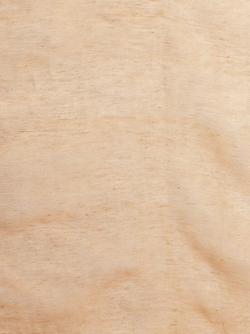 Ziya – Golden Tissue Linen Handwoven Saree with Sona Rupa Jamdani Weaving (With Blouse) - Image 7