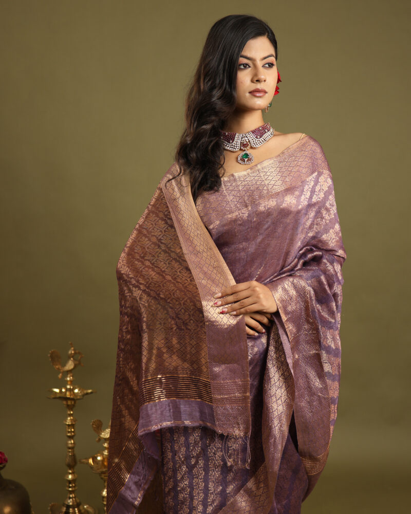 Raaya Mauve Jaal Banarasi Saree - Image 3