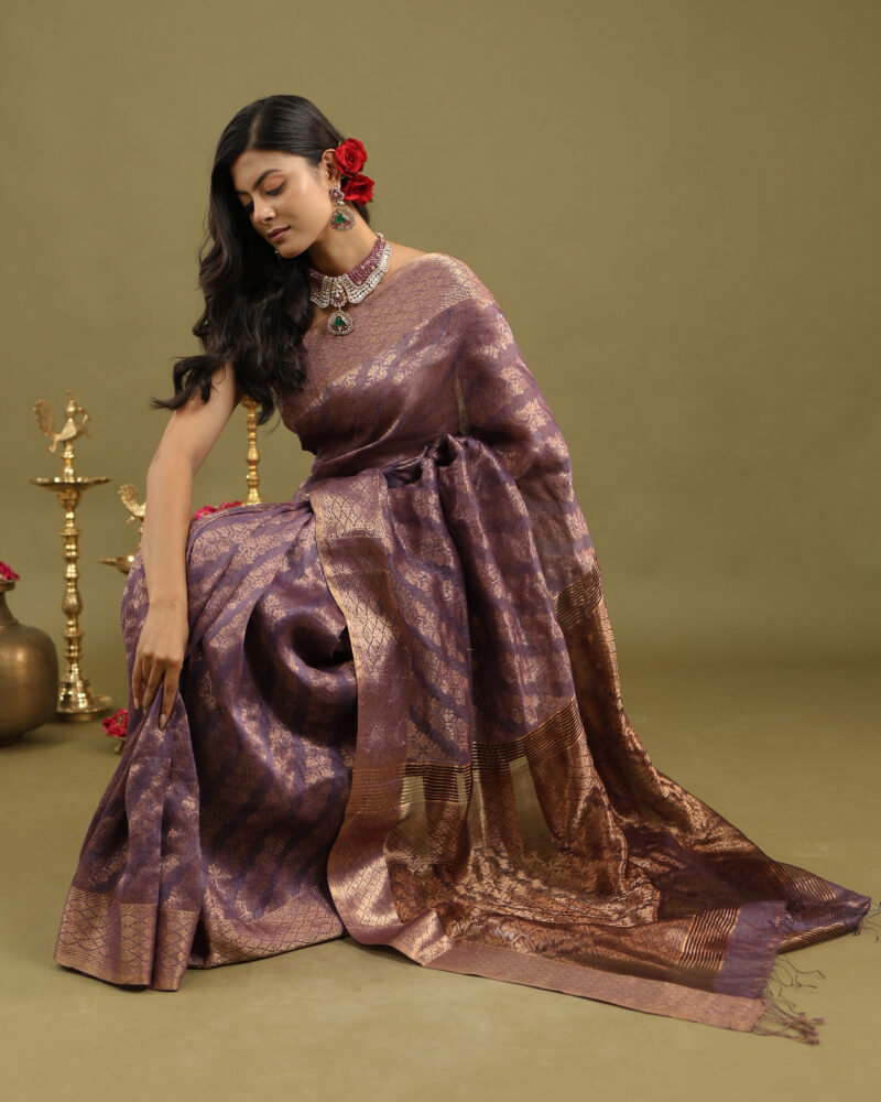 Raaya Mauve Jaal Banarasi Saree - Image 5